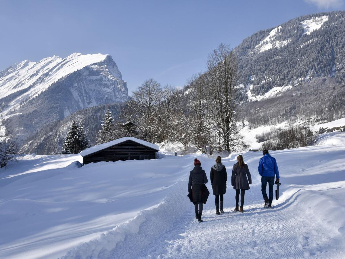 Winterwandern in Au-schoppernau